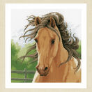 Mane In The Wind Cross Stitch Kit additional 2