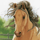 Mane In The Wind Cross Stitch Kit additional 1
