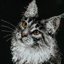Maine Coon Cat Portrait Cross Stitch Kit additional 1