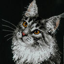Maine Coon Cat Portrait Cross Stitch Kit additional 2