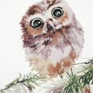 Wonderment Owl Cross Stitch Kit additional 1