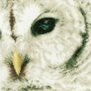 Snowy Owl Close-Up Cross Stitch Kit additional 1