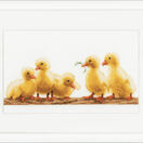 Young Ducklings Cross Stitch Kit additional 2