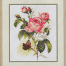 Rose And Butterfly Cross Stitch Kit additional 2