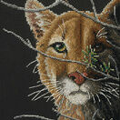 In The Shadows Cross Stitch Kit additional 1