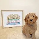 A Pup's Life Cross Stitch Kit additional 2