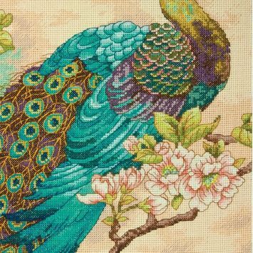 Animals &amp; Wildlife