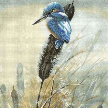 Animals &amp; Wildlife