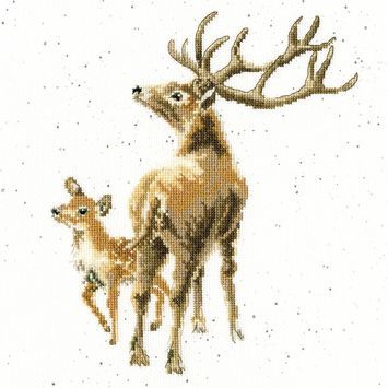 Animals &amp; Wildlife