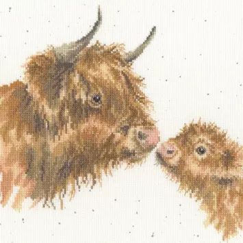 Animals &amp; Wildlife