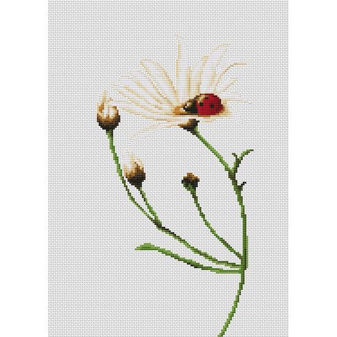 Communication Cross Stitch Kit