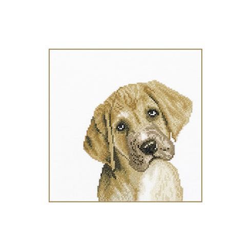 Irresistible Puppy Cross Stitch Kit