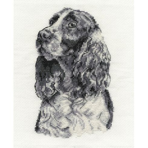 Springer Spaniel Cross Stitch Kit