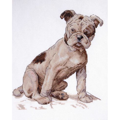 Henry Cross Stitch Kit