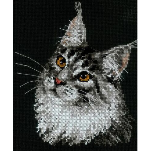 Maine Coon Cat Portrait Cross Stitch Kit