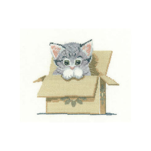 Cat In Box Cross Stitch Kit