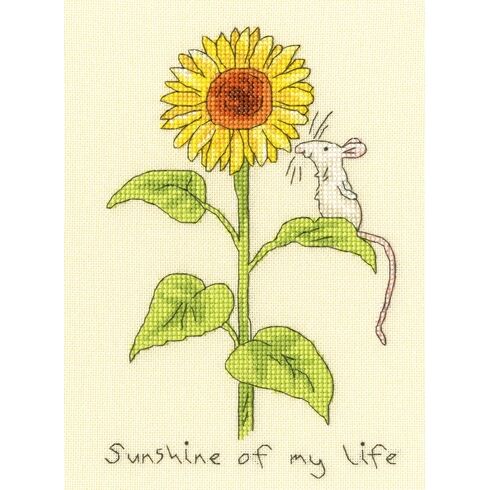 Sunshine Of My Life Cross Stitch Kit