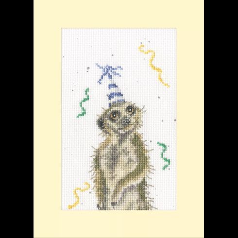 On The Lookout For A Party Thread and Fabric Pack