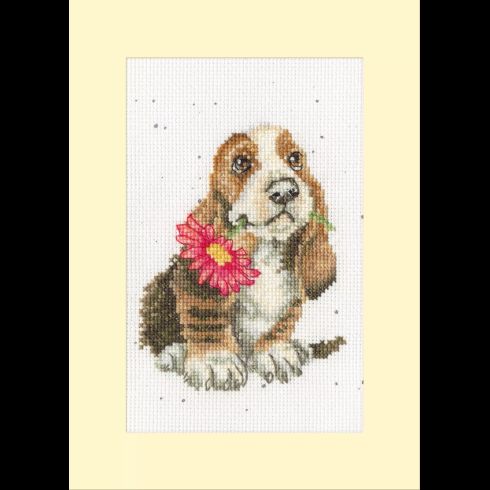 Especially For You Thread and Fabric Pack