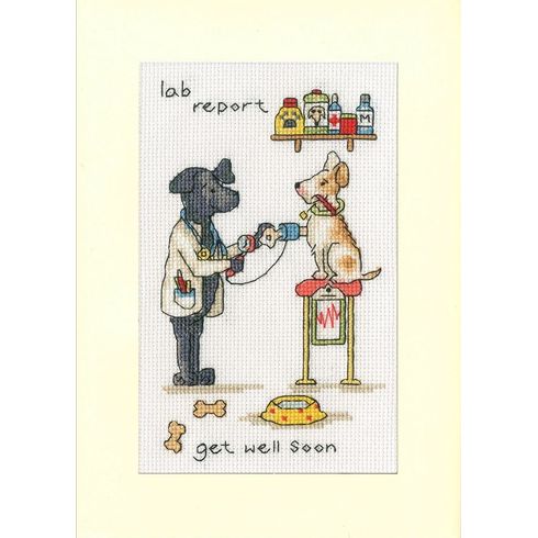 Lab Report Cross Stitch Kit