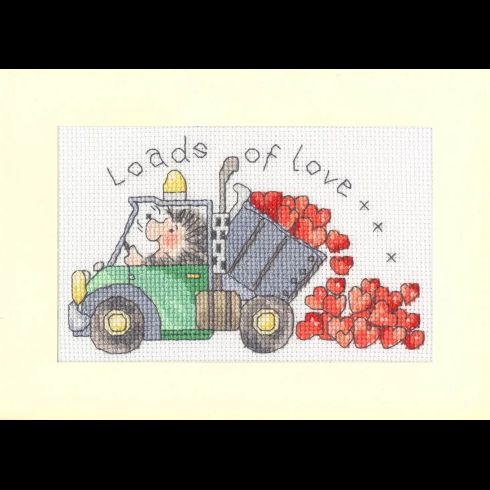 Loads Of Love Cross Stitch Kit