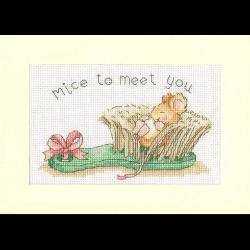 Mice To Meet You Cross Stitch Kit