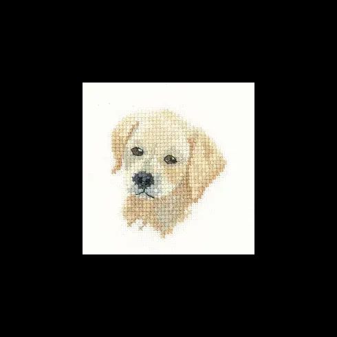 Little Friends Golden Labrador Puppy Cross Stitch Kit