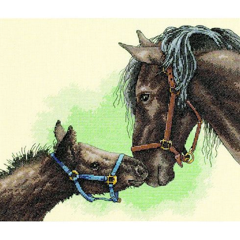 Mother And Colt Cross Stitch Kit