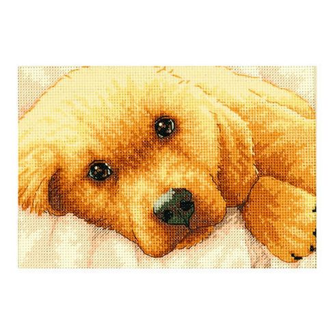Golden Puppy Cross Stitch Kit